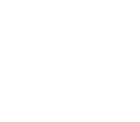Virgin Mobile - White